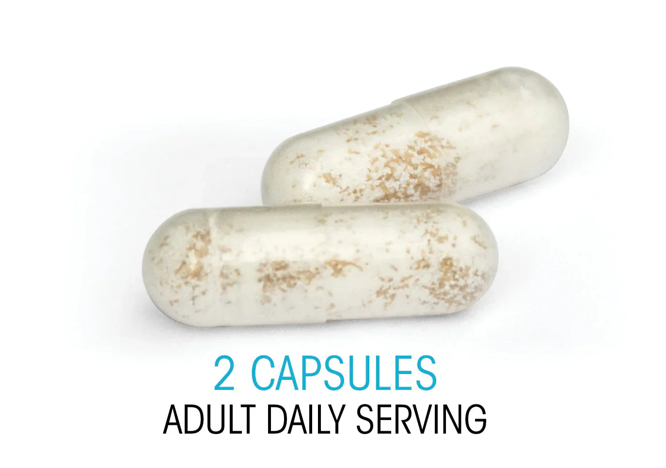 Ultimate Probiotic 8 Billion CFU – Spore-Forming, Shelf-Stable, Vegan Gut Health Supplement – 60 Capsules