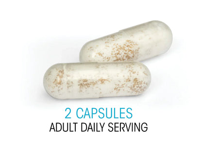 Ultimate Probiotic 8 Billion CFU – Spore-Forming, Shelf-Stable, Vegan Gut Health Supplement – 60 Capsules