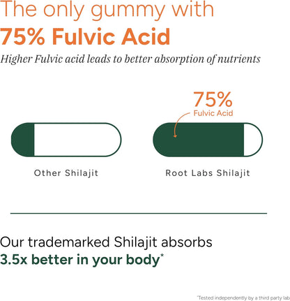 10-in-1 Shilajit Gummies (4000mg)|Tongkat Ali, Maca, 75% Fulvic Acid | Sugar-Free & Vegetarian