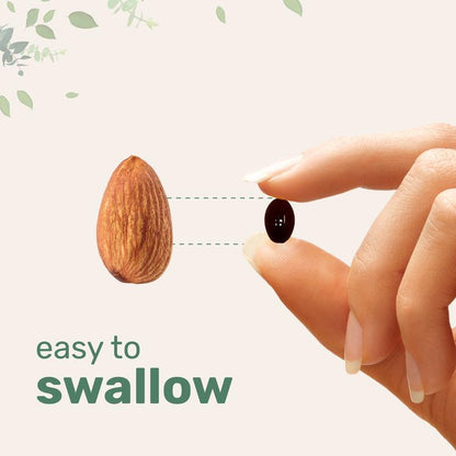 Pure Microalgae Astaxanthin 12mg | Superior Antioxidant for Skin Health & Overall Wellness | 120 Softgels (4-Month Supply)